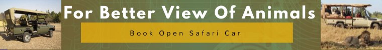Mikumi Hotels Game View Cars