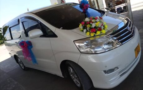 Alphard Wedding Car For Maids / Parents